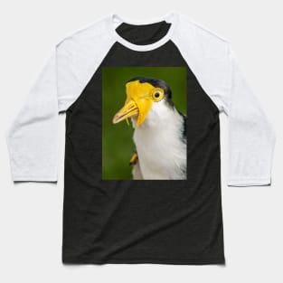 Australian Masked Lapwing (Plover) Baseball T-Shirt